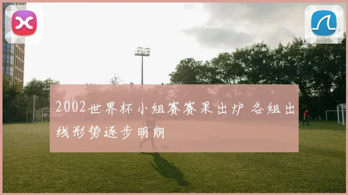 2002世界杯小组赛赛果出炉 各组出线形势逐步明朗