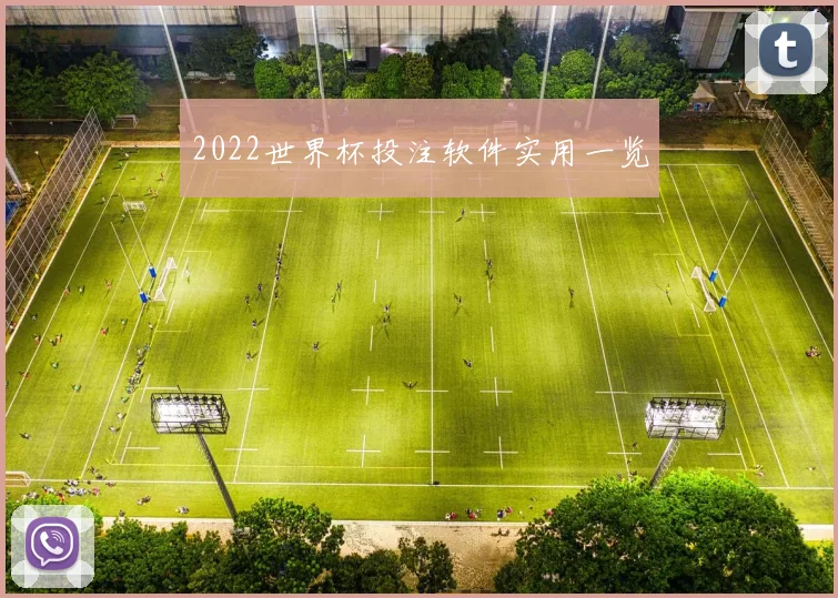 2022世界杯投注软件实用一览