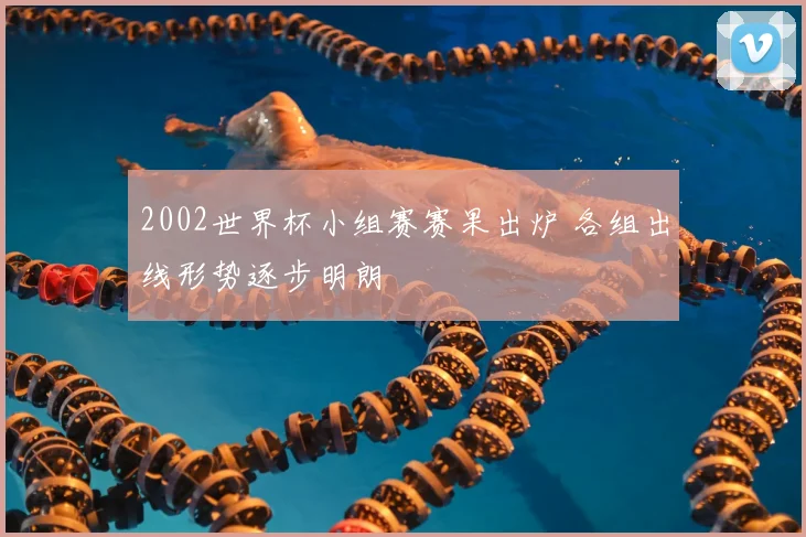 2002世界杯小组赛赛果出炉 各组出线形势逐步明朗
