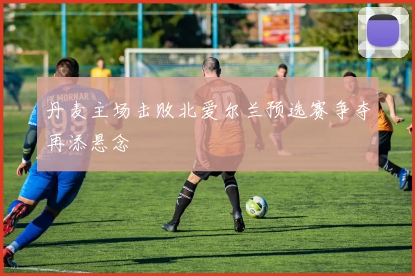 丹麦主场击败北爱尔兰预选赛争夺再添悬念