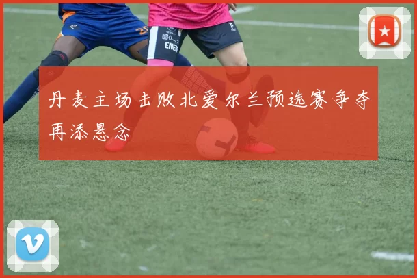 丹麦主场击败北爱尔兰预选赛争夺再添悬念