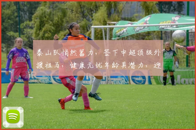 泰山队悄然蓄力，签下中超顶级外援祖马，健康无忧年龄具潜力，迎来复苏良机_欧元_罗马_瓦伦西亚