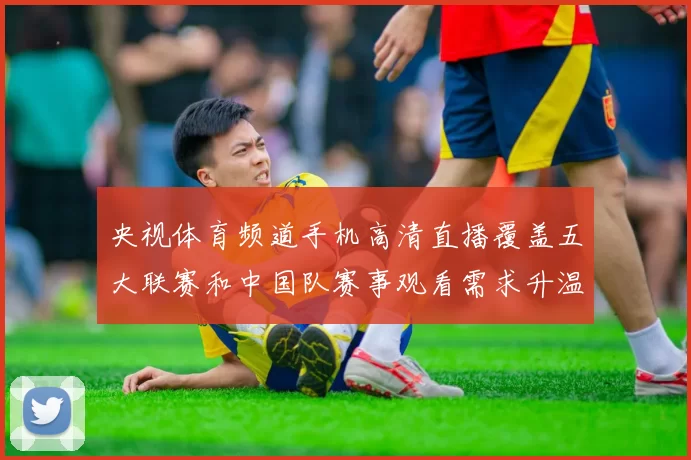 央视体育频道手机高清直播覆盖五大联赛和中国队赛事观看需求升温