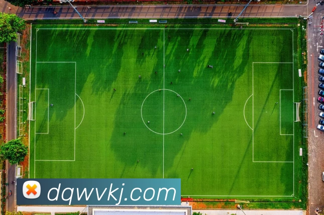 数据防护可视化